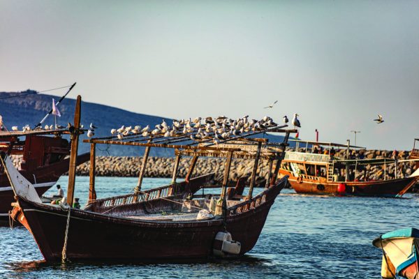 Traditional ships in Khasab Port, Musandam Governorat