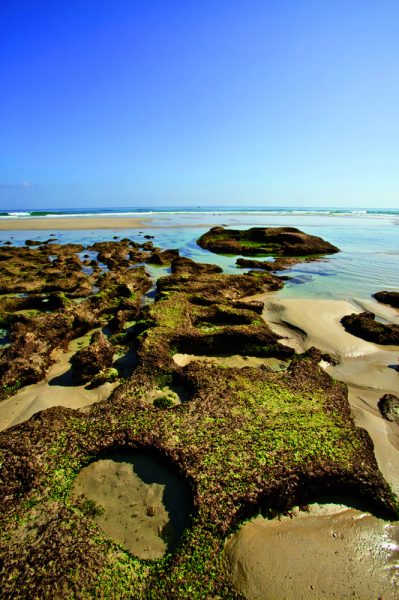 Oman’s beaches are known for their diverse rock formations and clear waters